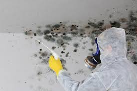 Best Residential Mold Inspection & Testing  in Hampton, AR